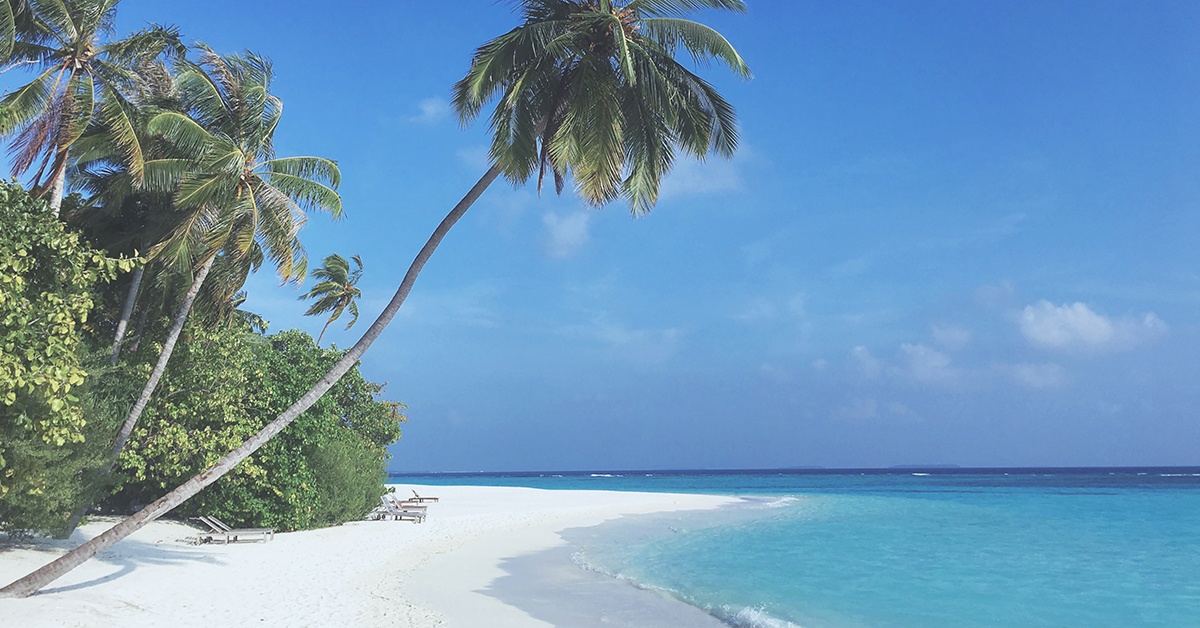 How to Plan the Perfect Honeymoon